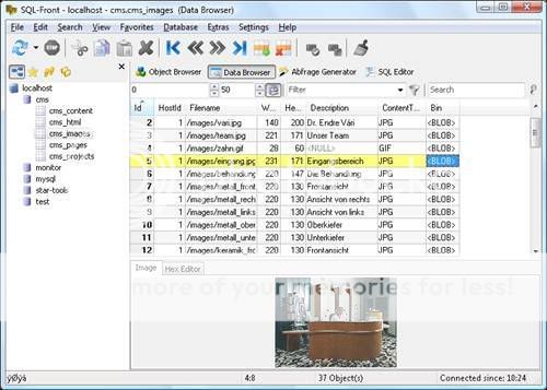 MySQL-Front v5.0 Build 1.127 MySQL-Front v5.0 Build 1.127