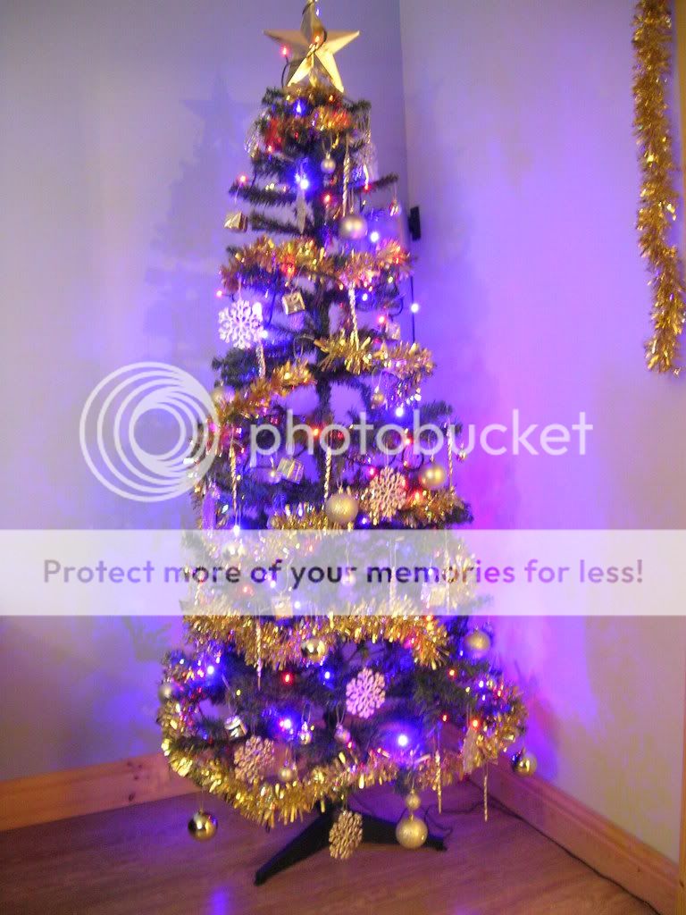 Show your Christmas/Holidays decorations )