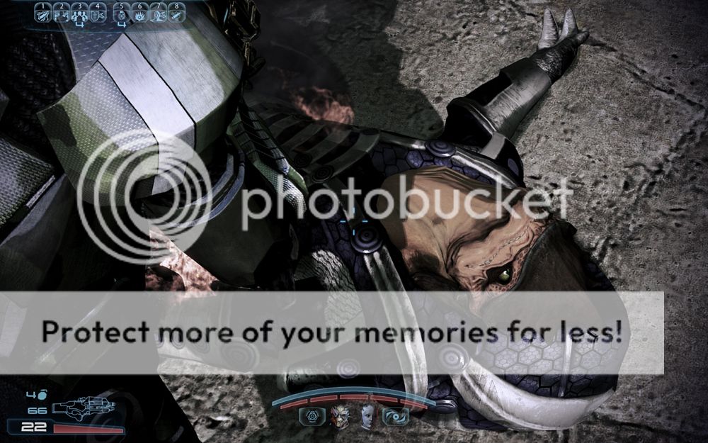 Размещенное изображение