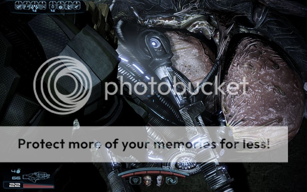 Размещенное изображение