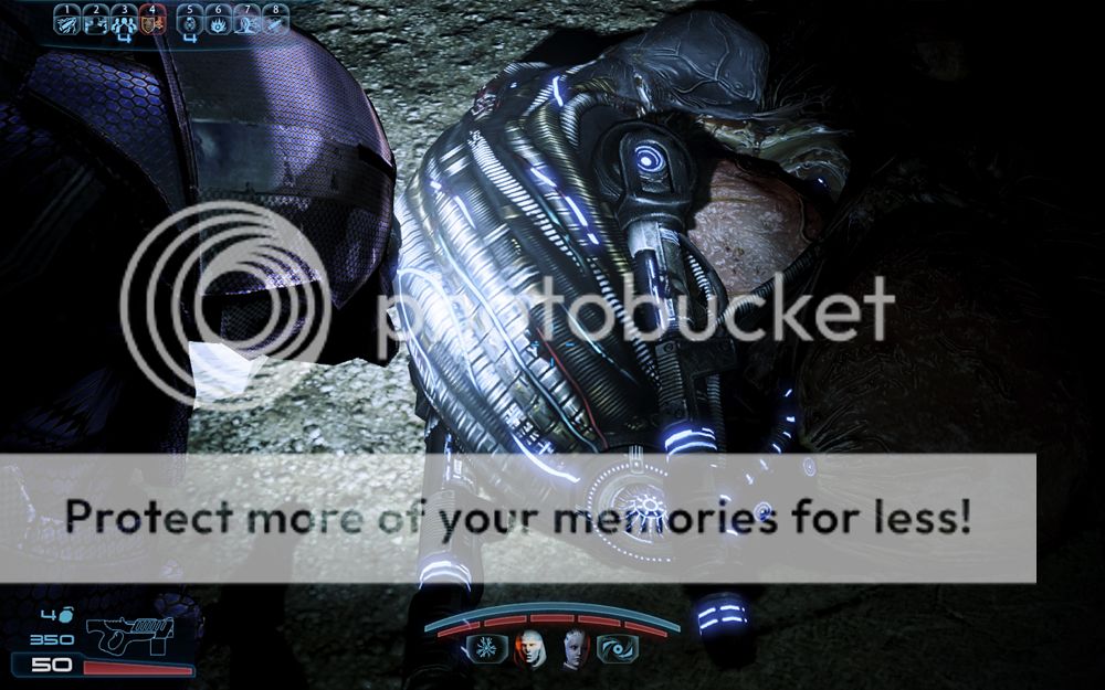 Размещенное изображение