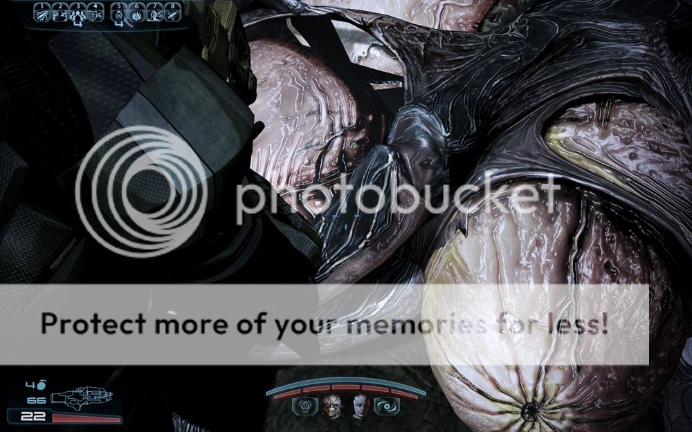 Размещенное изображение