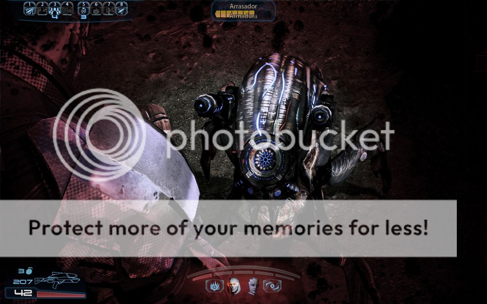 Размещенное изображение