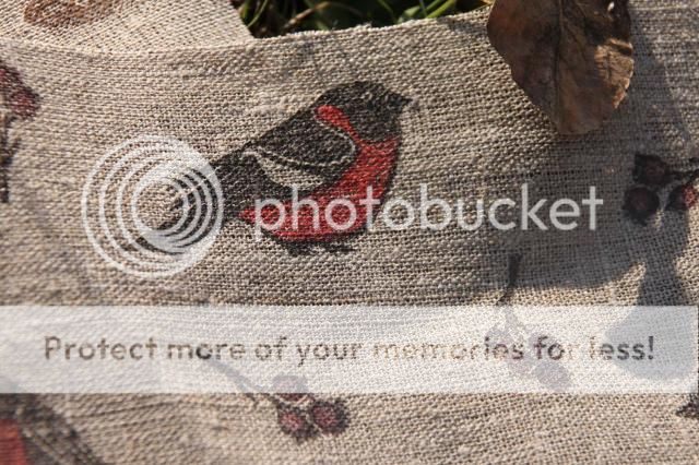  photo IMG_2189_zps45a486d0.jpg