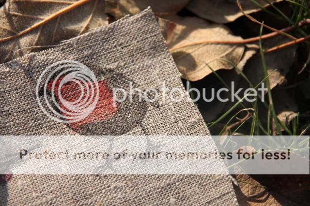  photo IMG_2190_zps2c1fded5.jpg