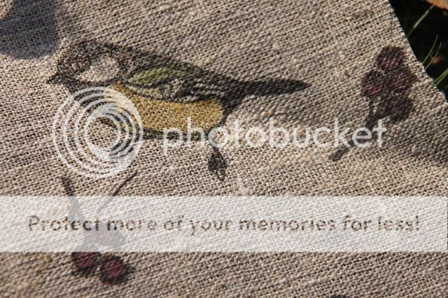  photo IMG_2191_zpsb8af16ad.jpg