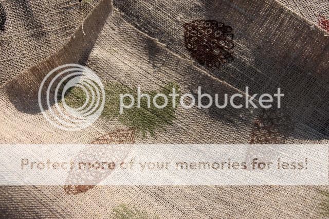  photo IMG_2193_zps720a4cf0.jpg