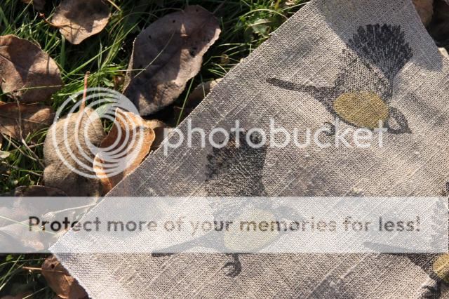  photo IMG_2194_zps3cf5fdab.jpg